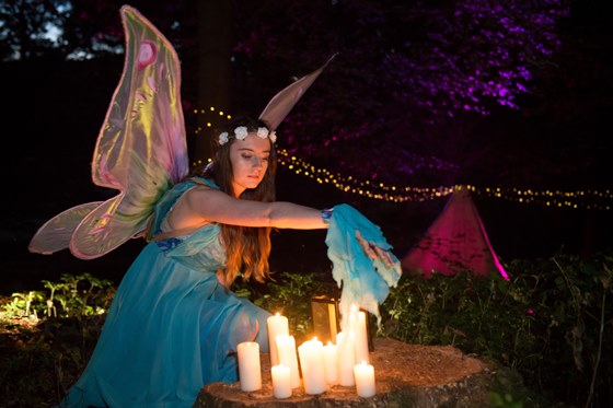 Fairy Woodland Rapha (63)